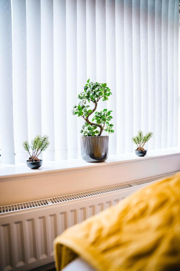 Apartmán Aunt Mary'S Belfast Exteriér fotografie